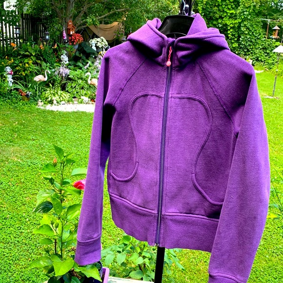 Lulu - Picture 1 of 4